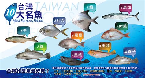 好魚排名|台灣好魚排行榜